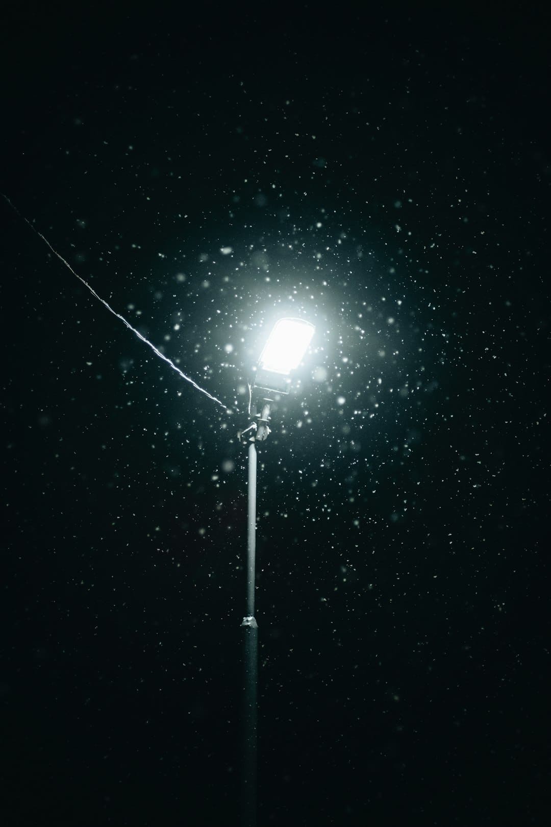 雪顿进行时：富丽藏戏吟唱出雪域文明根脉